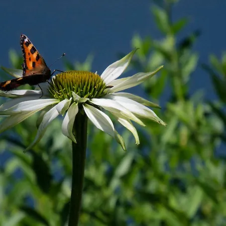 Appartamento Sulla Collina *